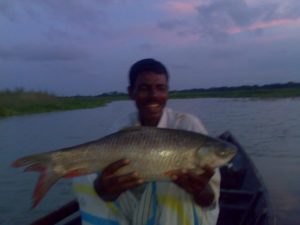 Ruhu caught from the Bangshi River